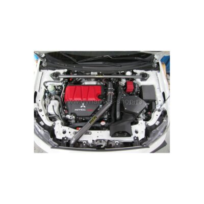 AEM 21-678C Система впуска холодного воздуха I Performance Cold Air Intake System для MITSUBISHI Lancer Evolution X AEM 21-678C Система впуска холодного воздуха I Performance Cold Air Intake System для MITSUBISHI Lancer Evolution X