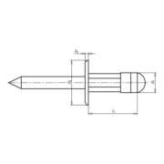 WURTH 091504817 Aluminum extraction rivet with enlarged cylindrical edge ZEBRA